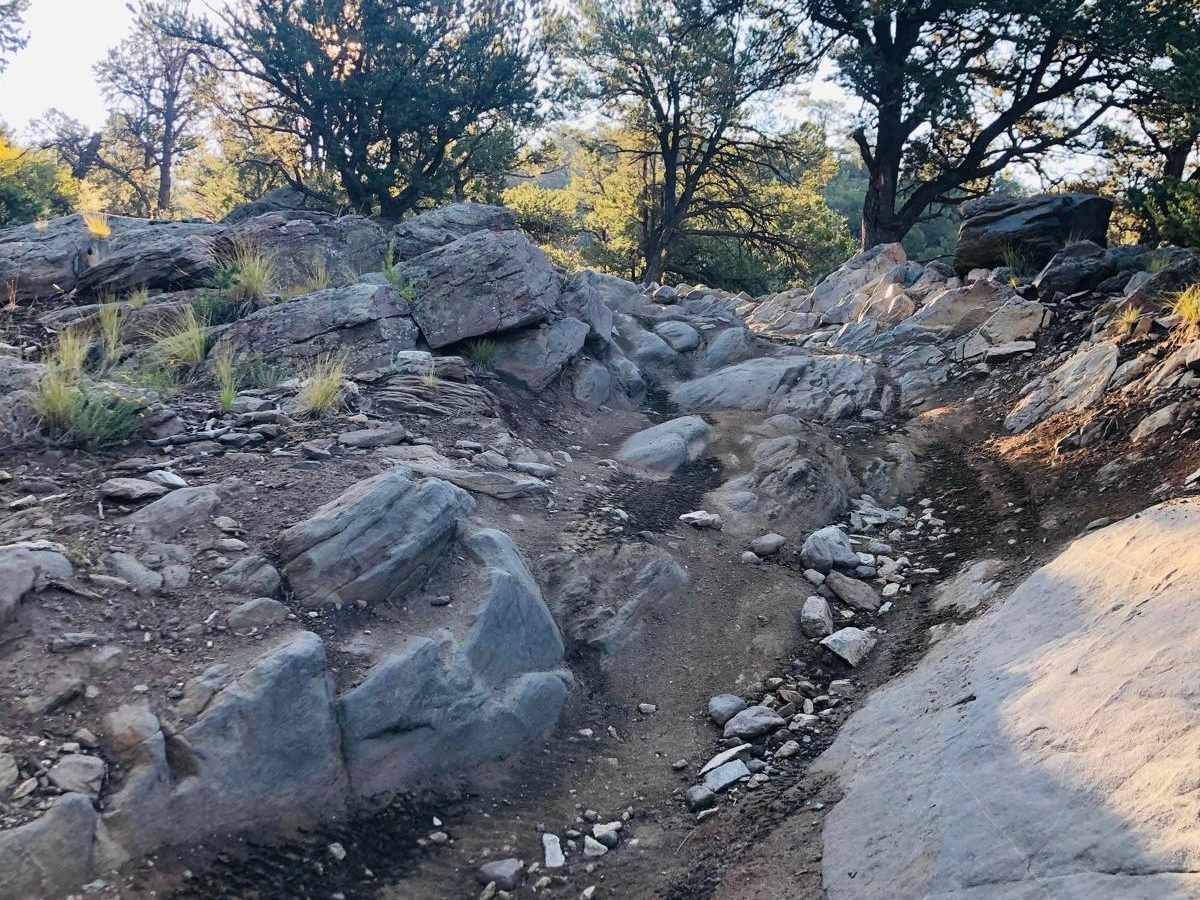 Yansing Gulch photo 6