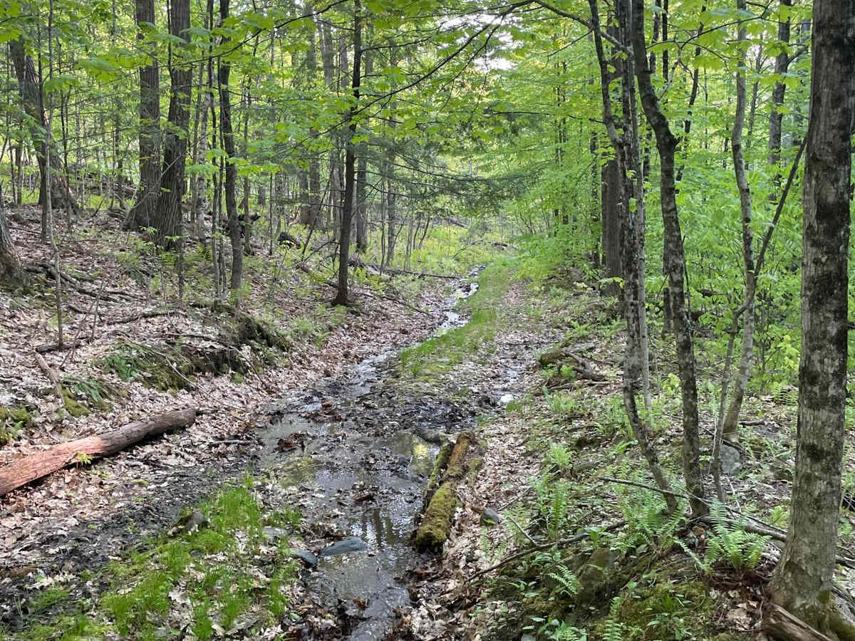 Farnum Road trail photo