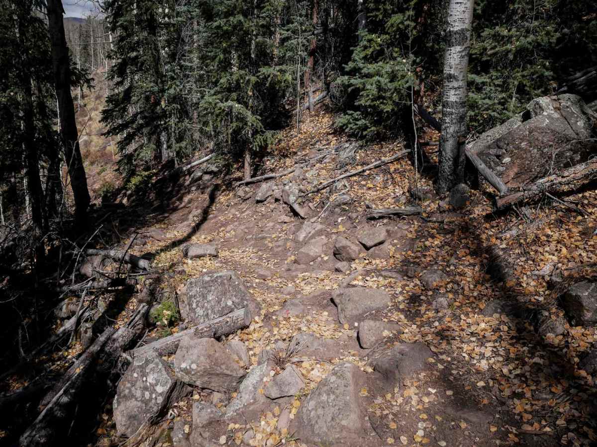 West Alder Trail - 798 photo 2