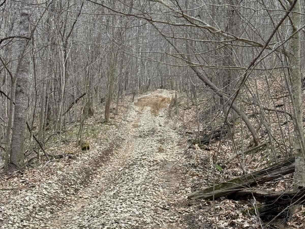 Trail 10 photo 4