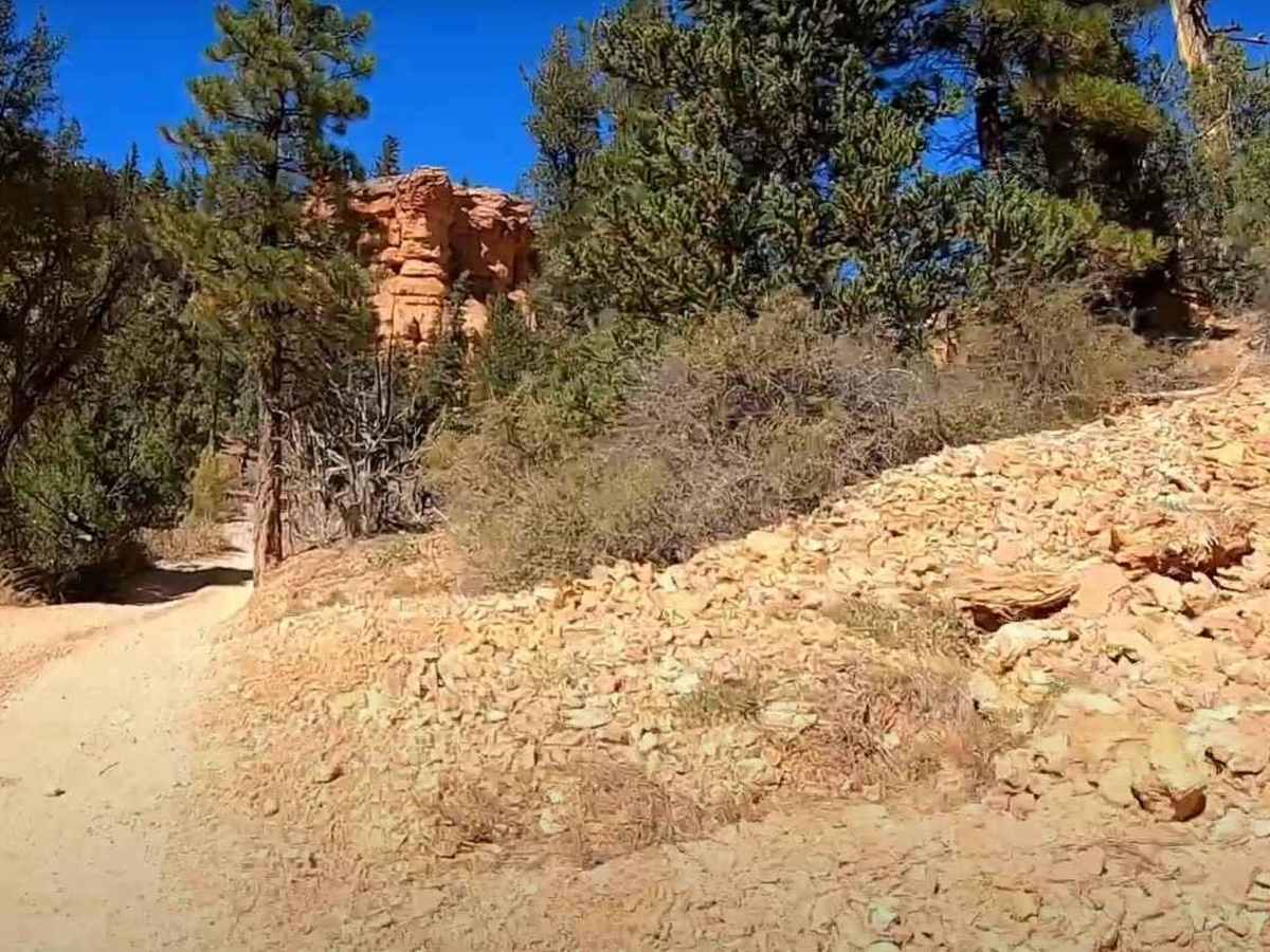 Barney Cove ATV Trail-NPS33014 photo 4