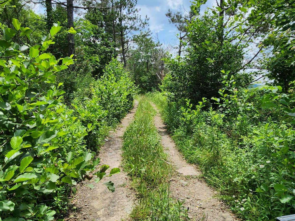 Trail 8H - Rock Run Recreation Area photo 5