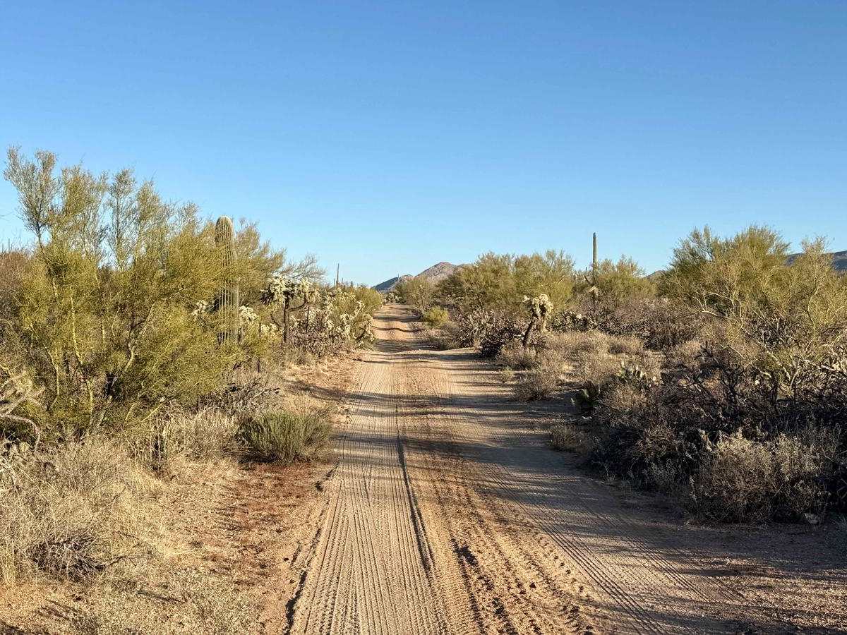 M0785 photo 5