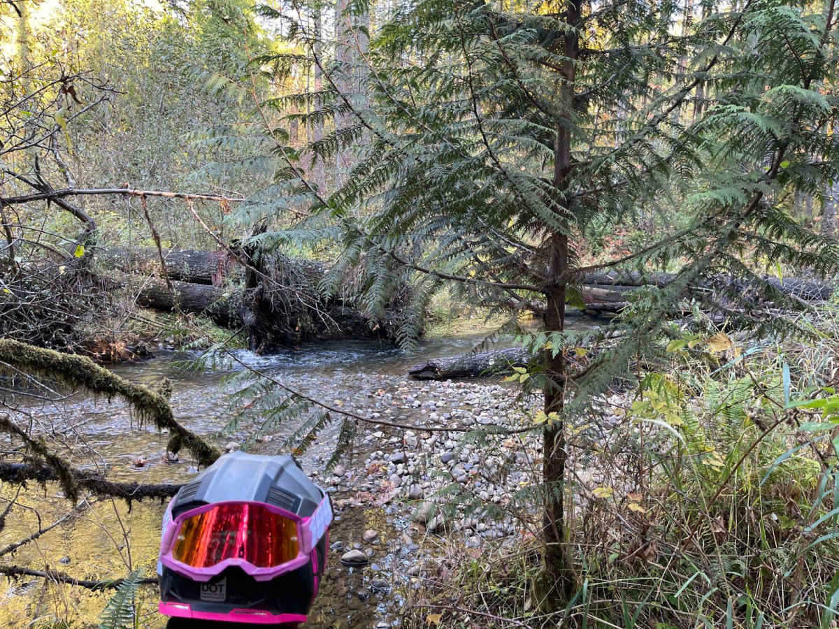 West Waddell Basin Trail photo 3