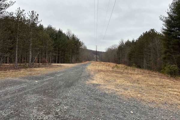Locust Gap 27