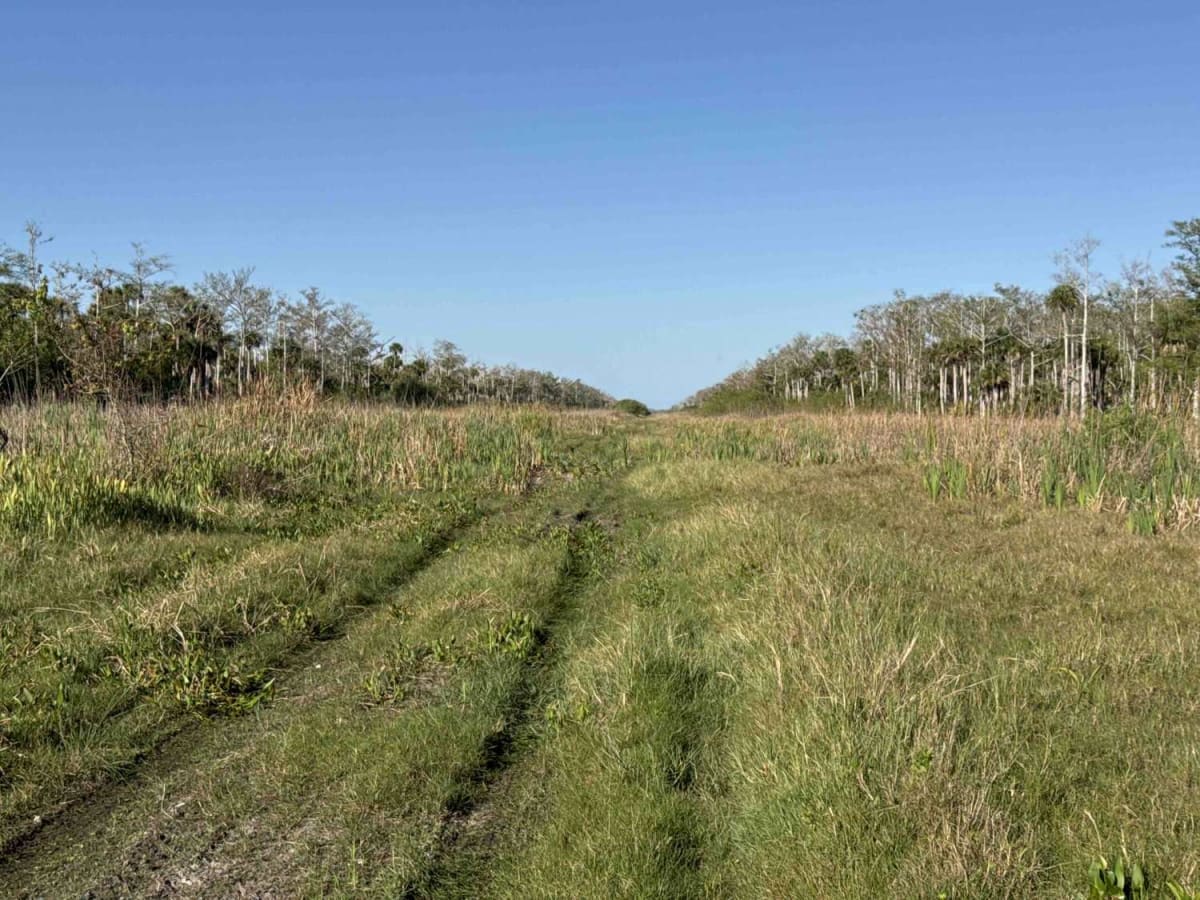 Lynch Boulevard trail photo