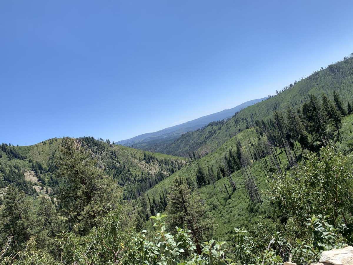 James Creek trail photo