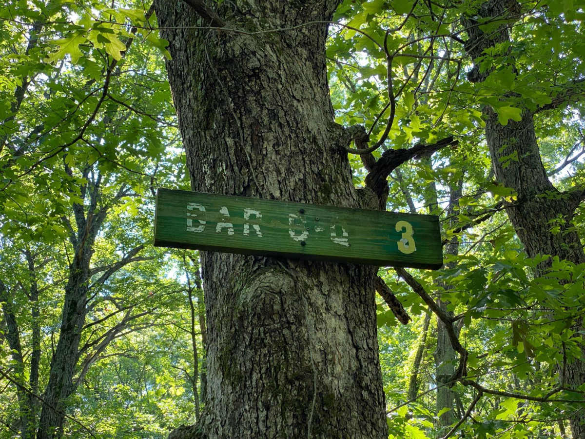 Bar-B-Q photo 4
