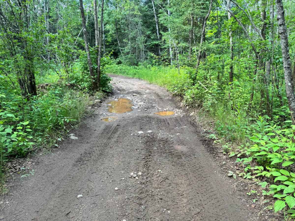 Mud Run Bypass photo 3