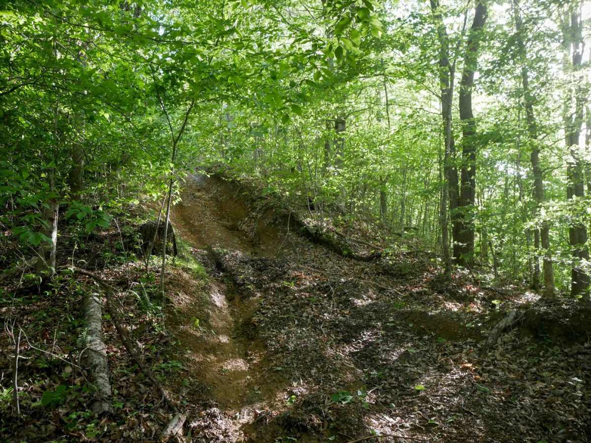RV55 trail photo