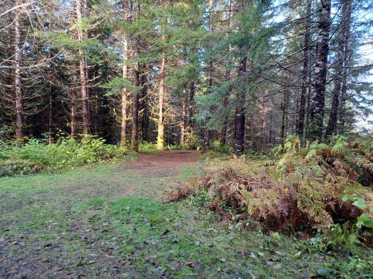 Lewis Creek trail photo