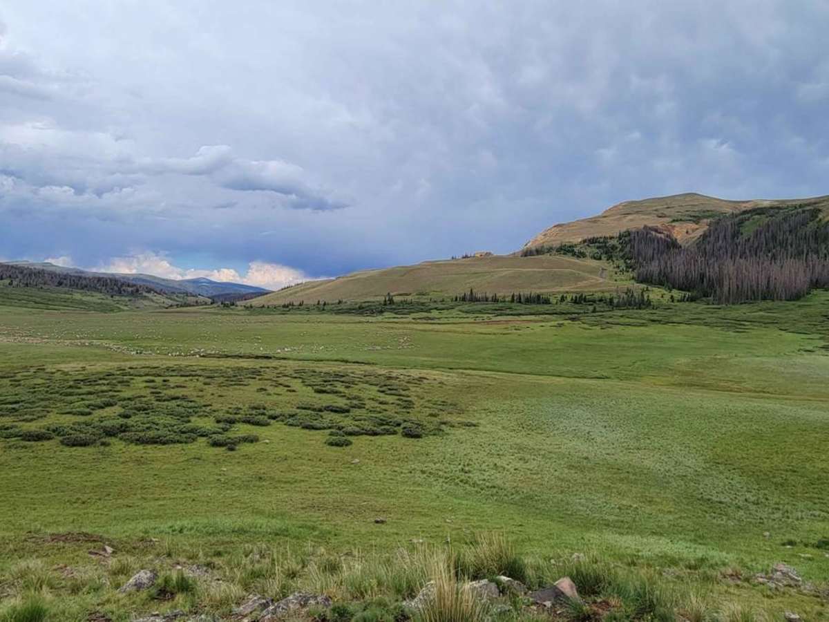 Pinos Creek and Summitville Roads photo 5