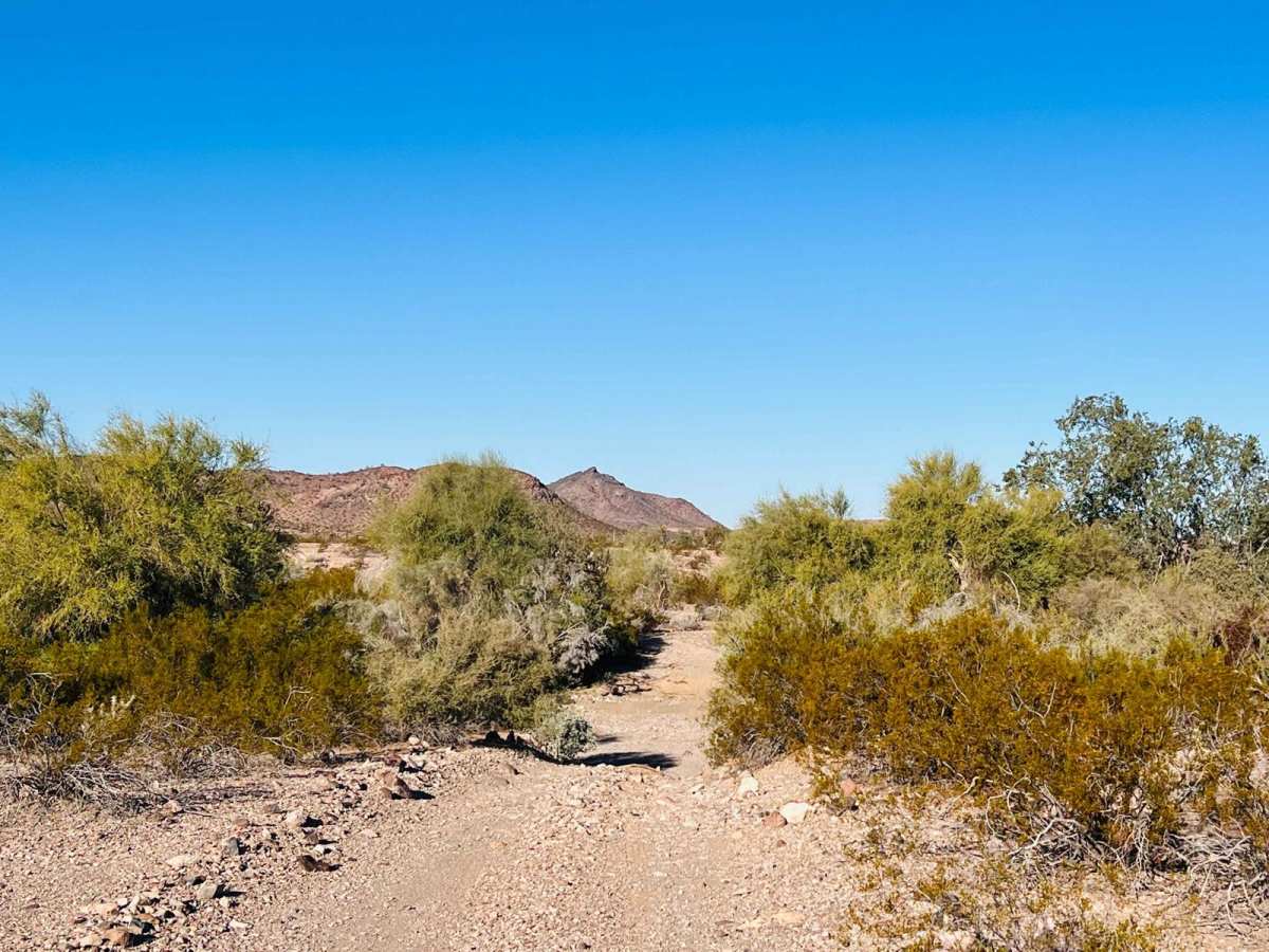 Mid-Range Access Trail photo 5