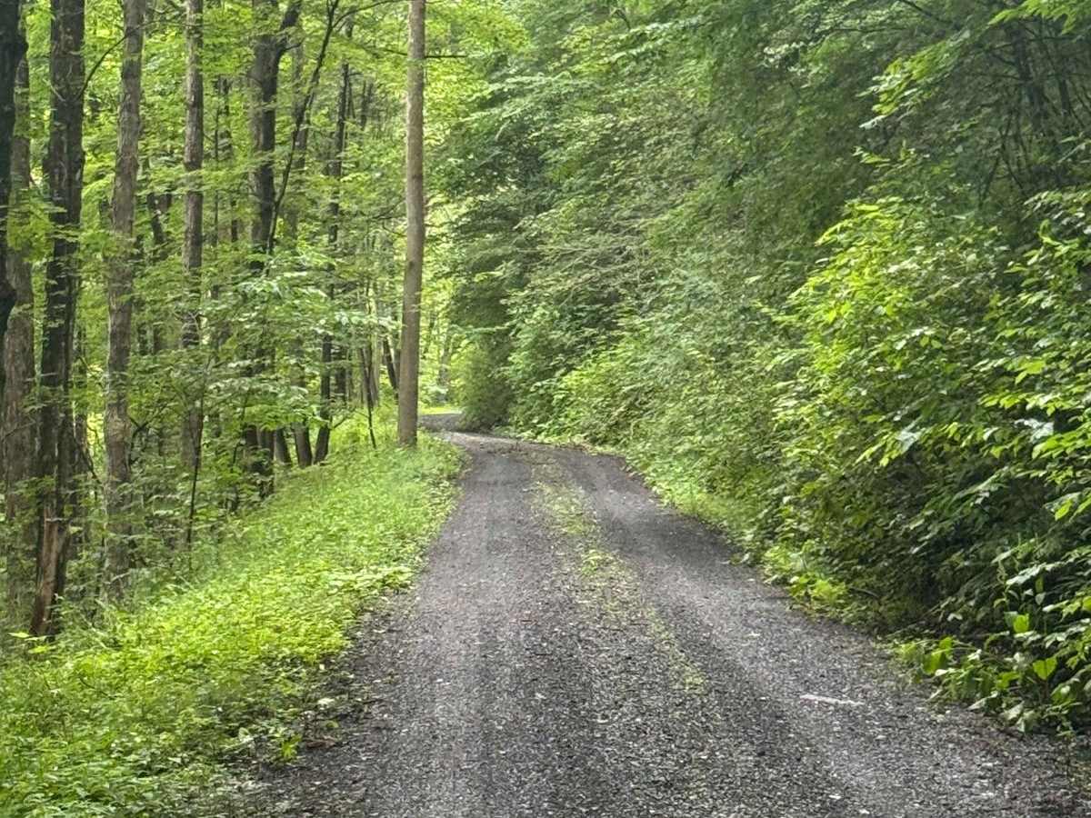 Robinson Road photo 3