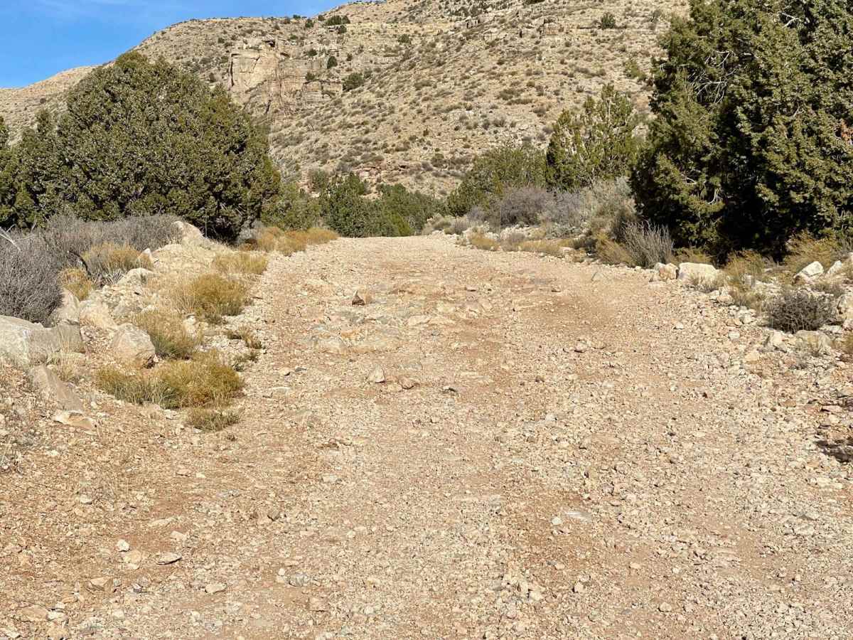 Saint George Canyon 1034 photo 4