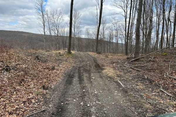 Ashland 62 Inner Loop
