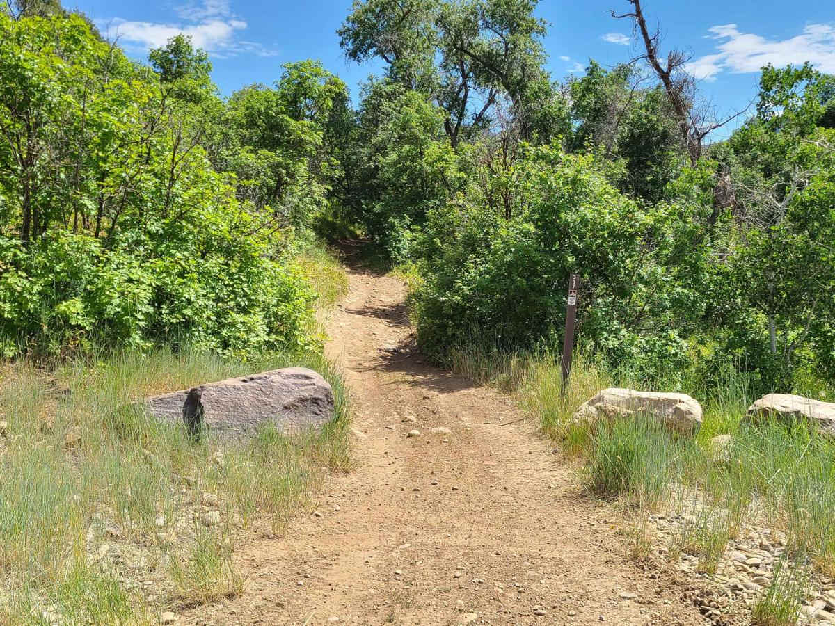 Sugar Creek trail photo