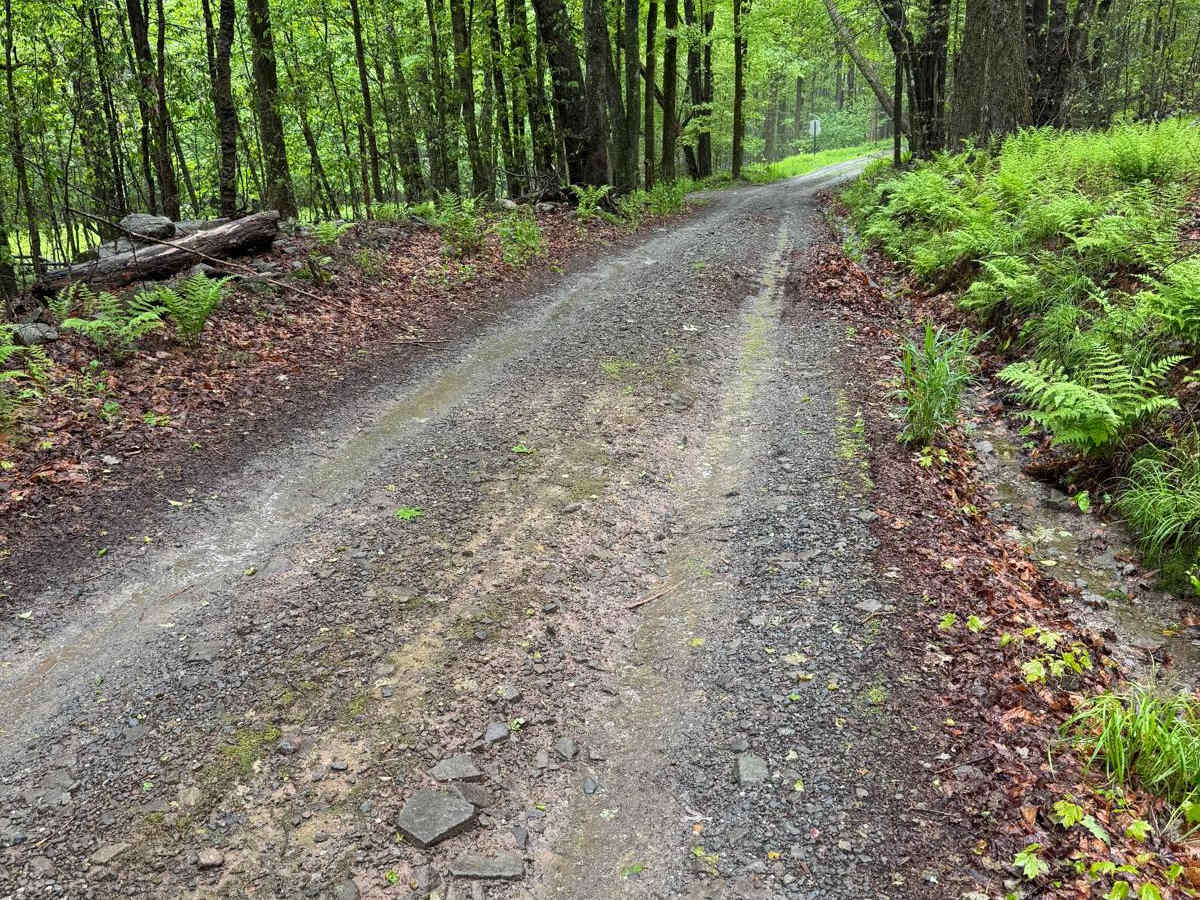 Moore Hill Road trail photo