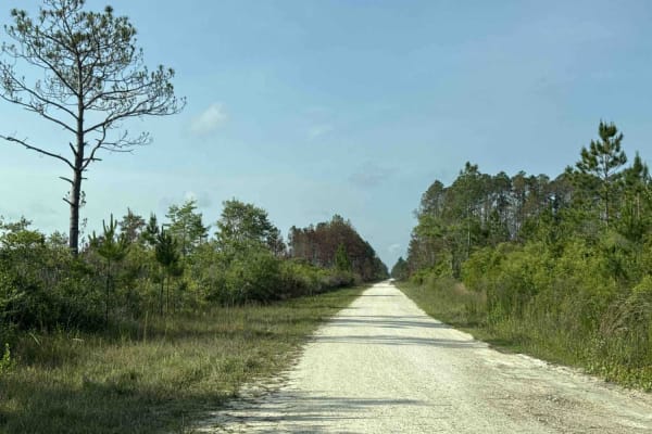 Burnt Bridge Road