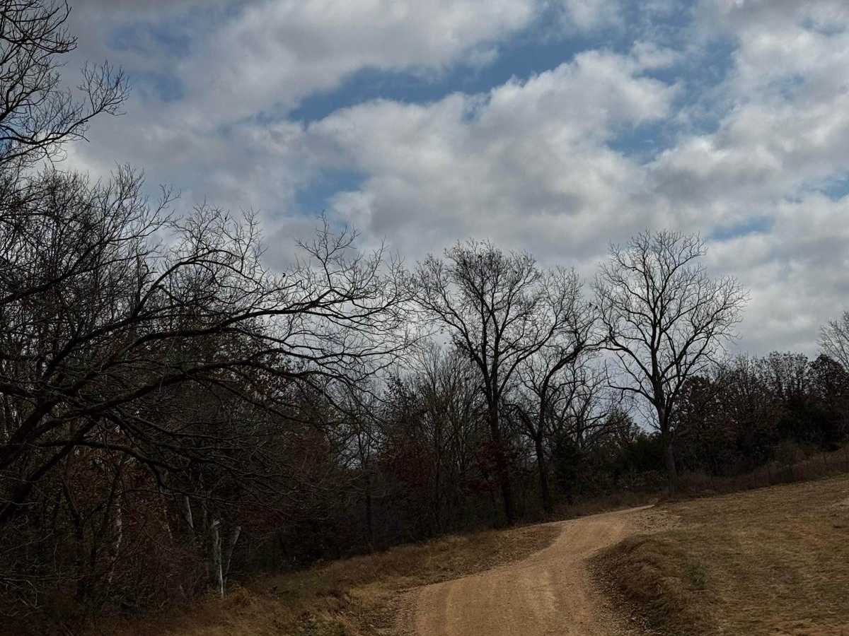 Main Park Entrance Trail trail photo
