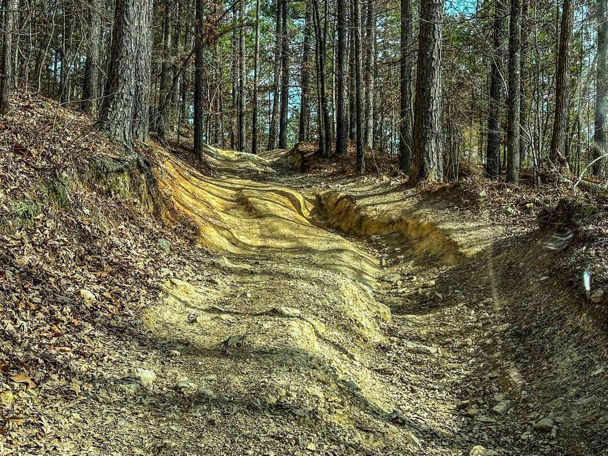 Upper Ridge Trail trail photo
