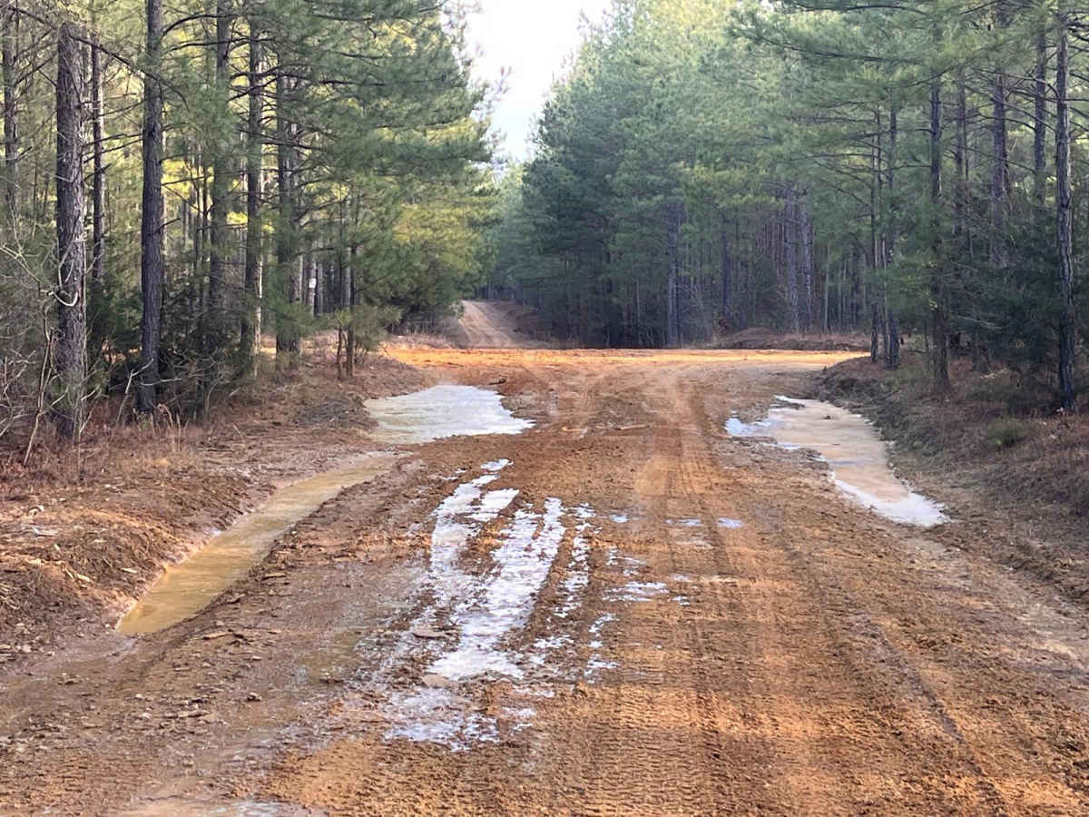 Loop De Loop Road trail photo
