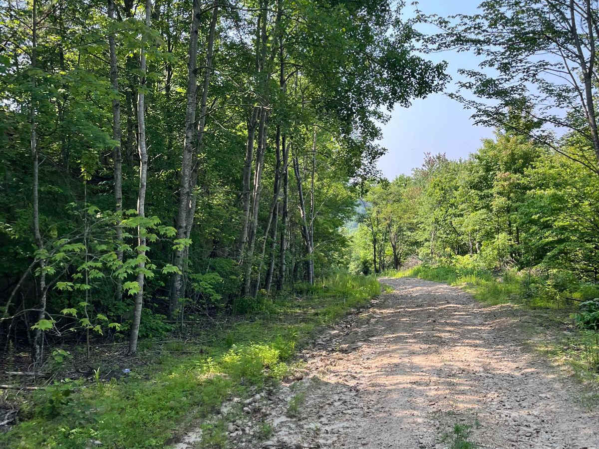 Trail 5 photo 6