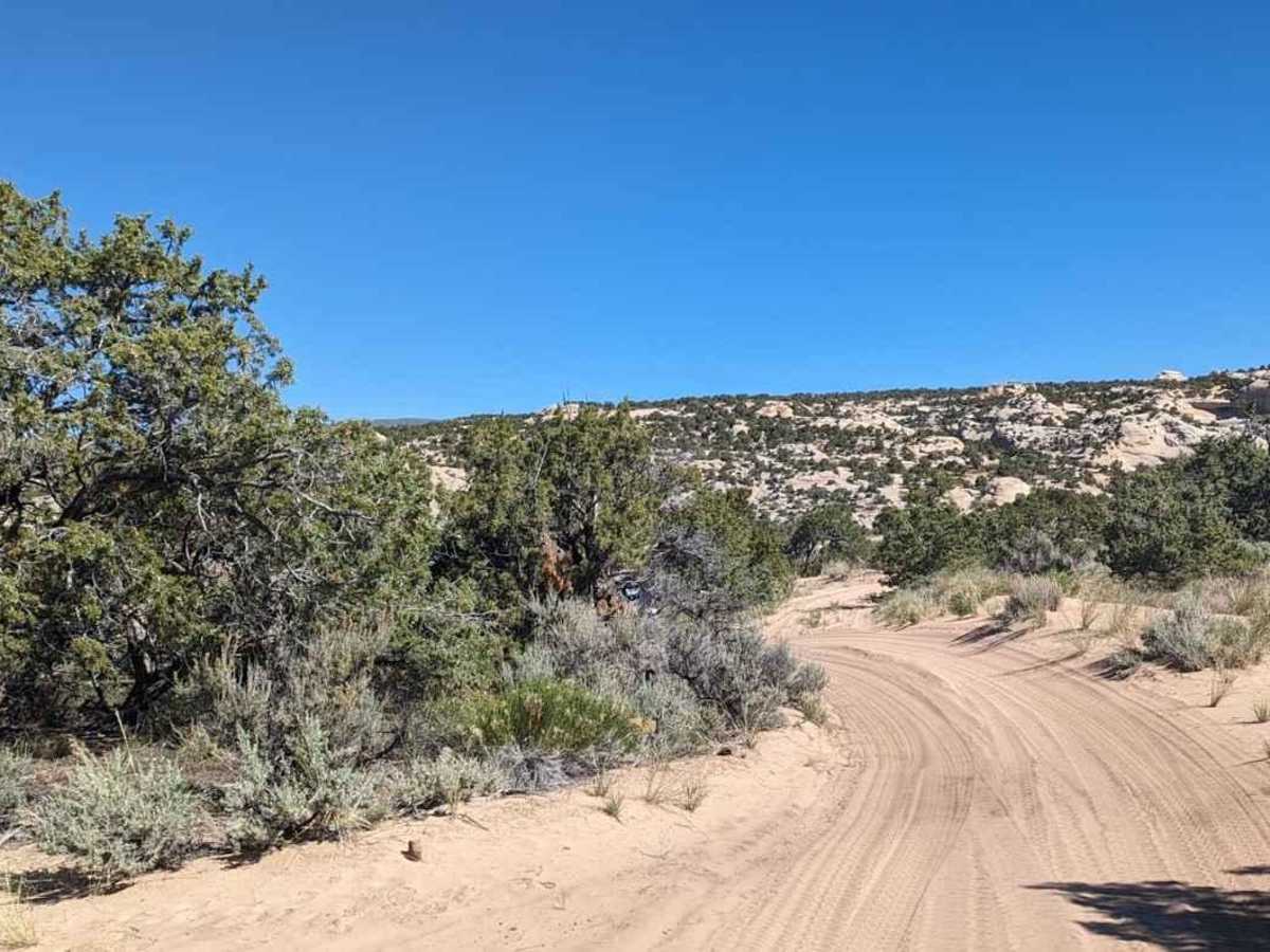 Sand Bar Loop photo 5