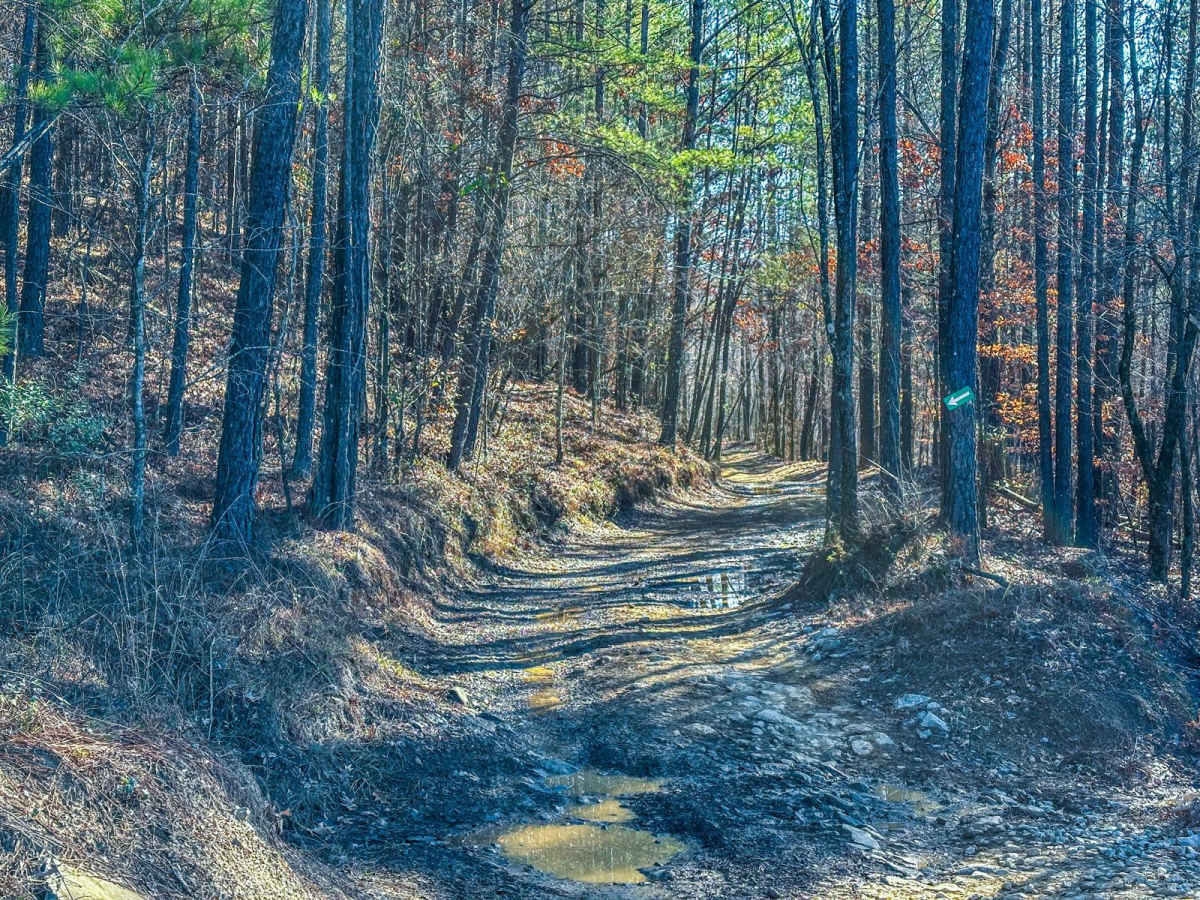 Big Hill Bypass trail photo