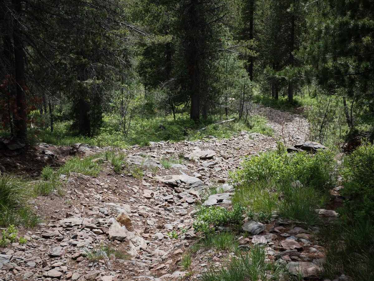 Slate Peak ATV trail photo