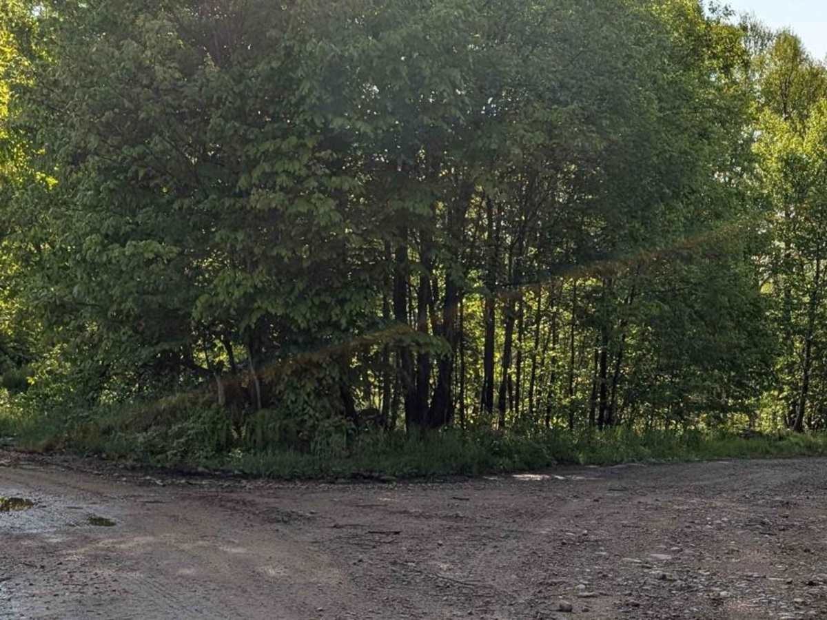 Long Pond Road photo 3