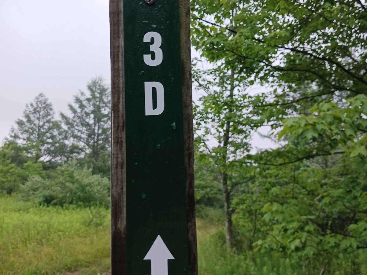 Trail 3D - Rock Run Recreation Area trail photo