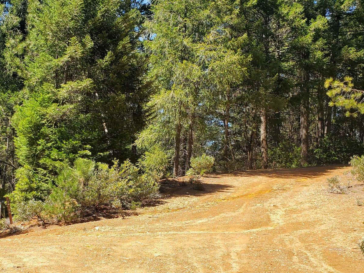 Sugarloaf 4WD & West (12N70G & 12NY21) photo 5