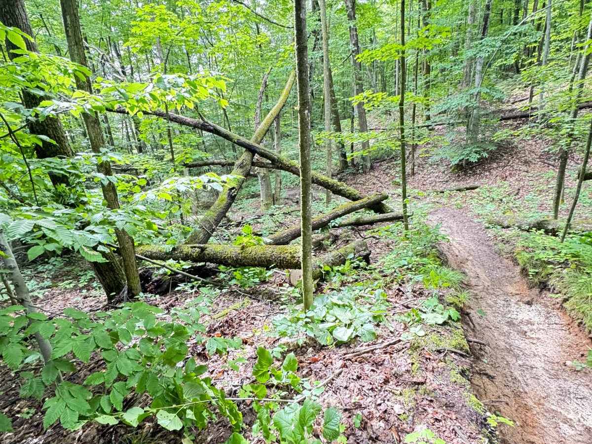 Southwest Leg Tomahawk B Loop trail photo