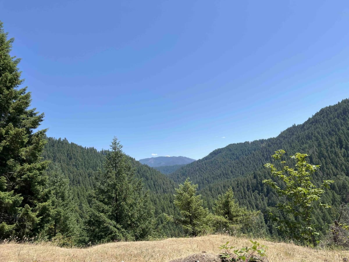 Aufderheide to Windy Pass photo 3