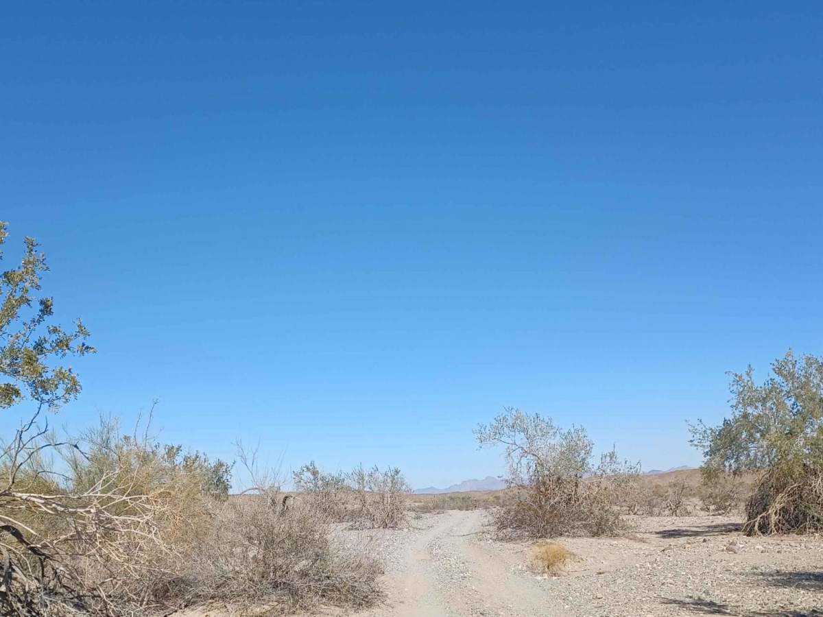 Vinagre Wash photo 2