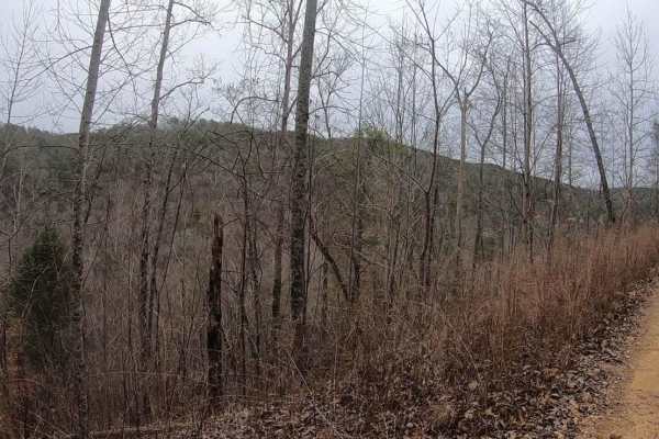 East Sylco Ridge