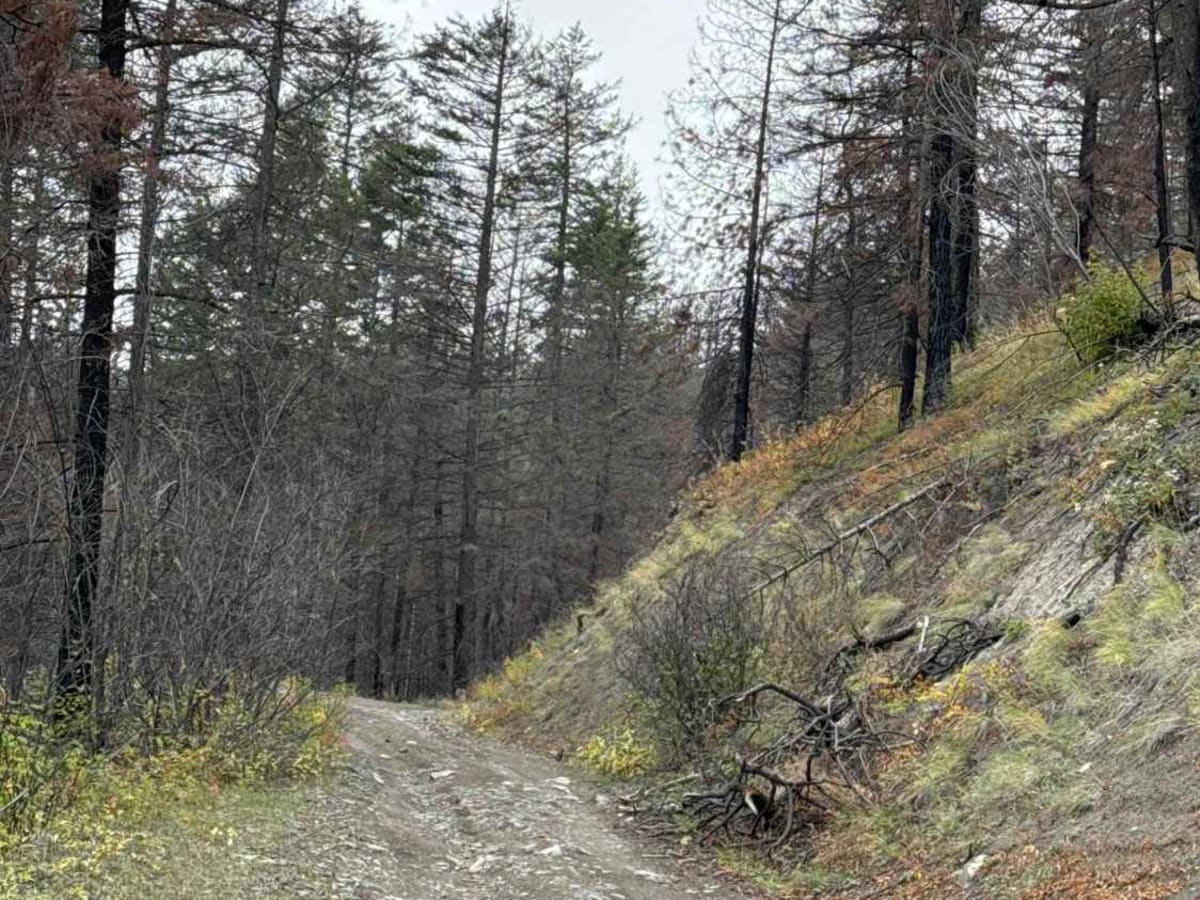 Mount Swite Road photo 5