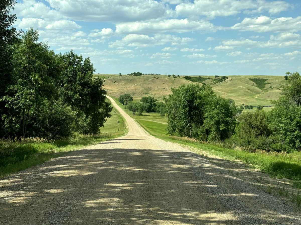 Spring Draw Rd photo 5