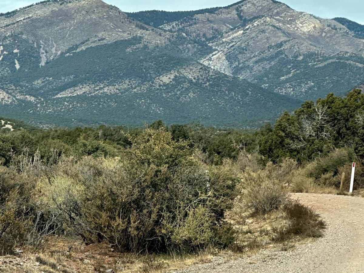 FS 422 Priest Canyon trail photo