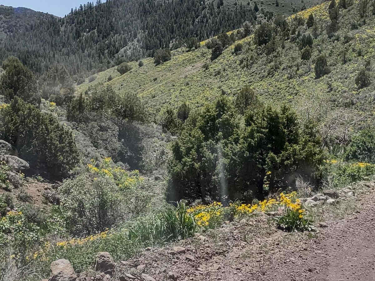 Pole Canyon Road photo 2