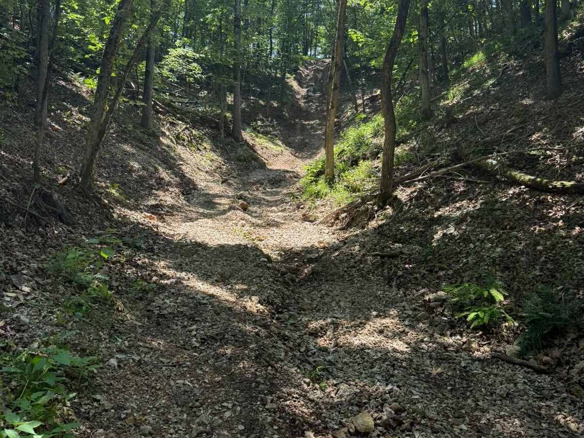 Jenny's Trail trail photo