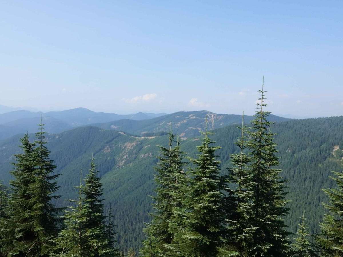 Greenwater/Naches Trail photo 4