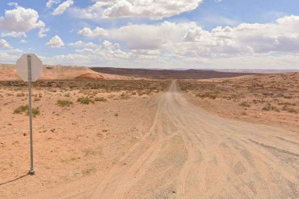 Spring Desert Road - BLM13410