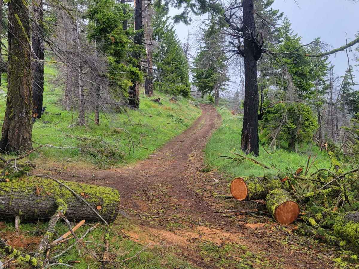 Upper Buck Mountain photo 3