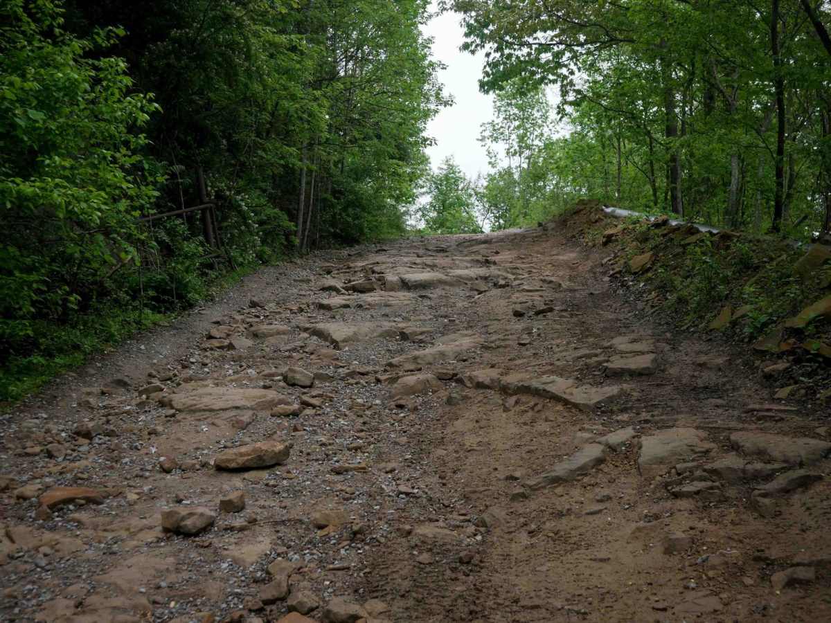 BM 26 trail photo