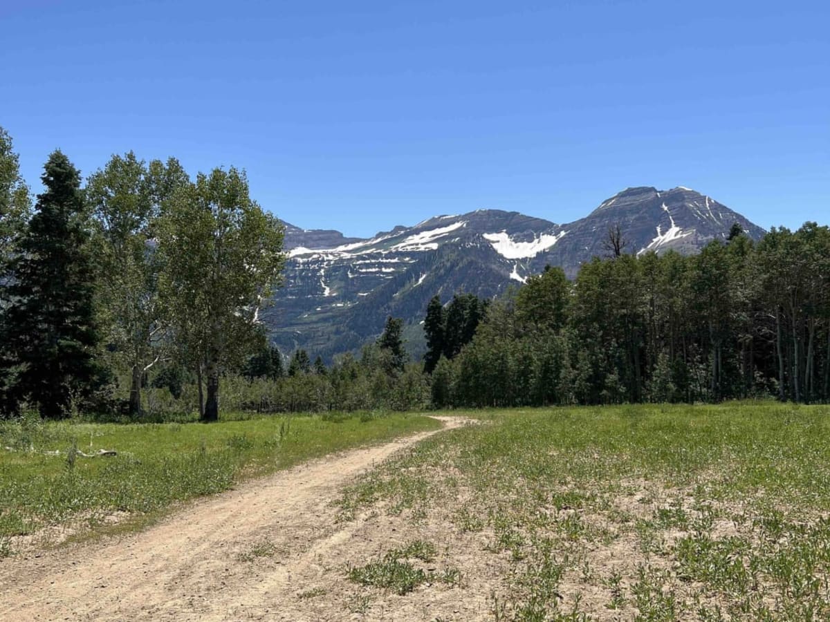 Mud Springs (2173) trail photo