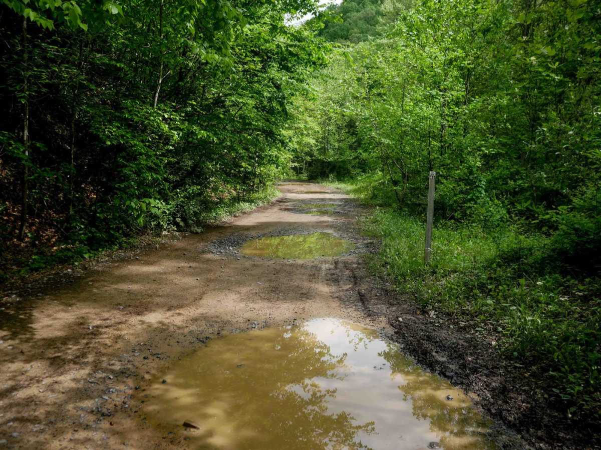 RH 45 trail photo