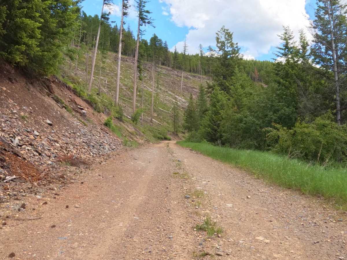 Johnson-First Creek Road-W.Side Ninemile Road photo 2