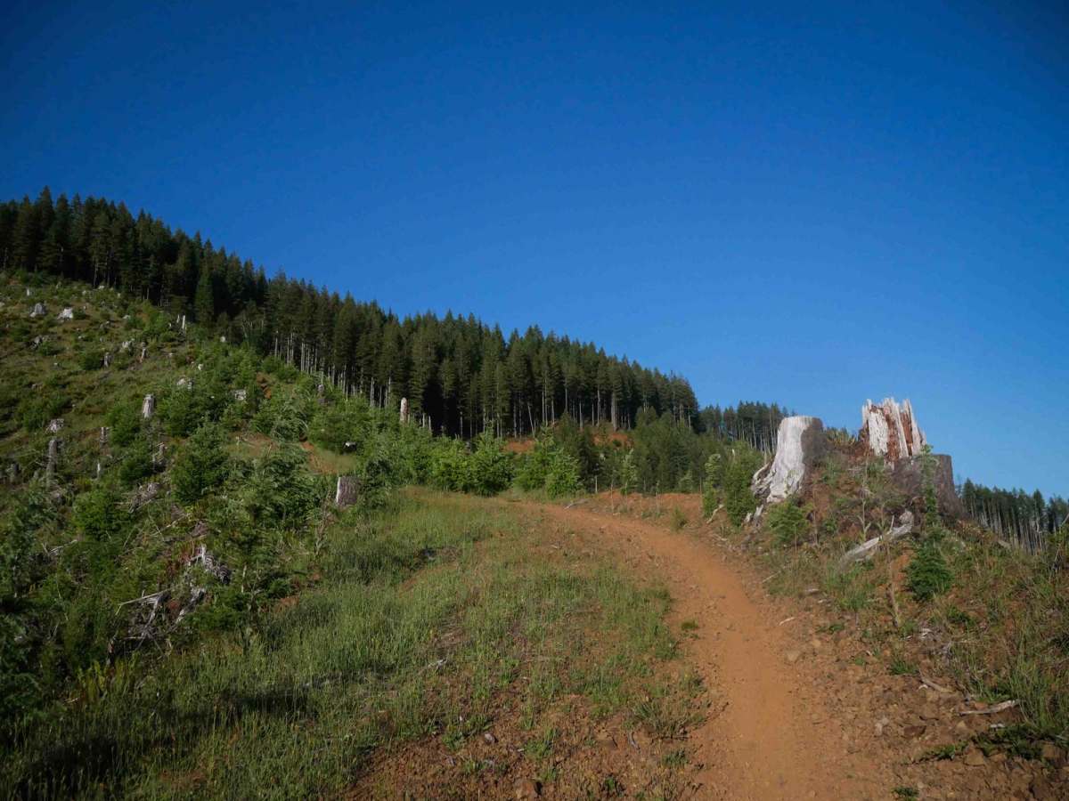 #91 trail photo